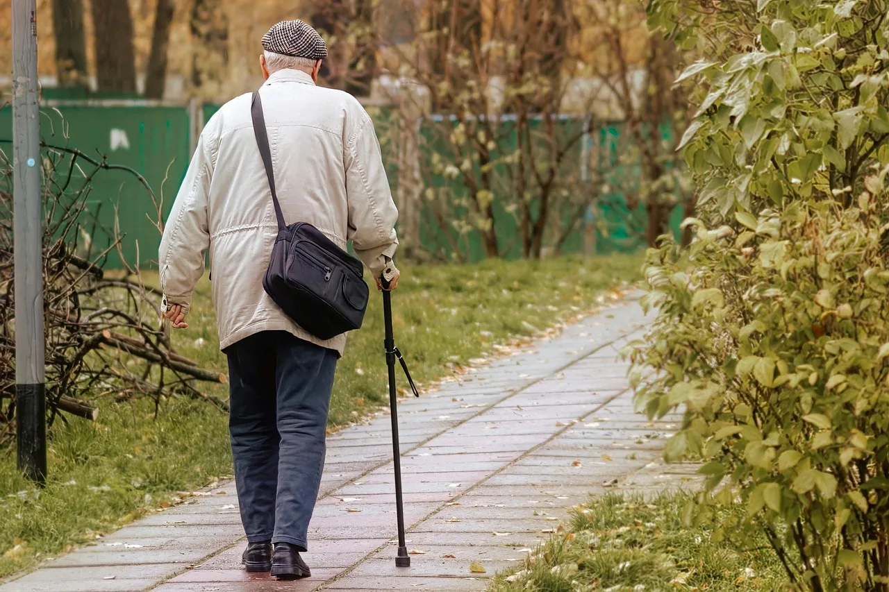old man, walking stick, pavement, senior, elderly, aged, man, walking, walk, path, urban, outdoors, old man, walking stick, walking stick, walking stick, walking stick, walking stick, senior